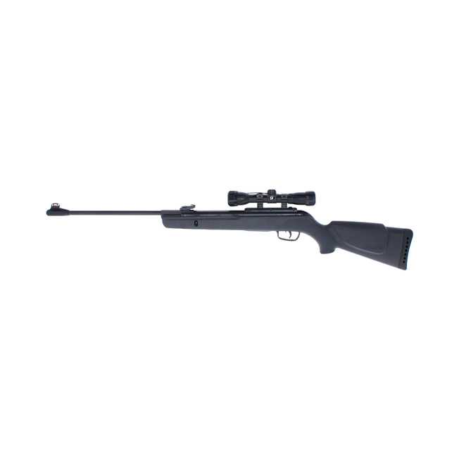 Rifle Gamo Deportivo Big Cat 1000 Alta Potencia C/ Mira 5.5